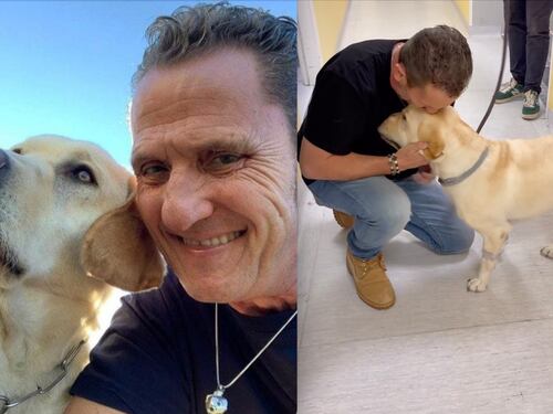 "Sta meglio". Buone notizie per il cane di Enzo Salvi: cosa era successo
