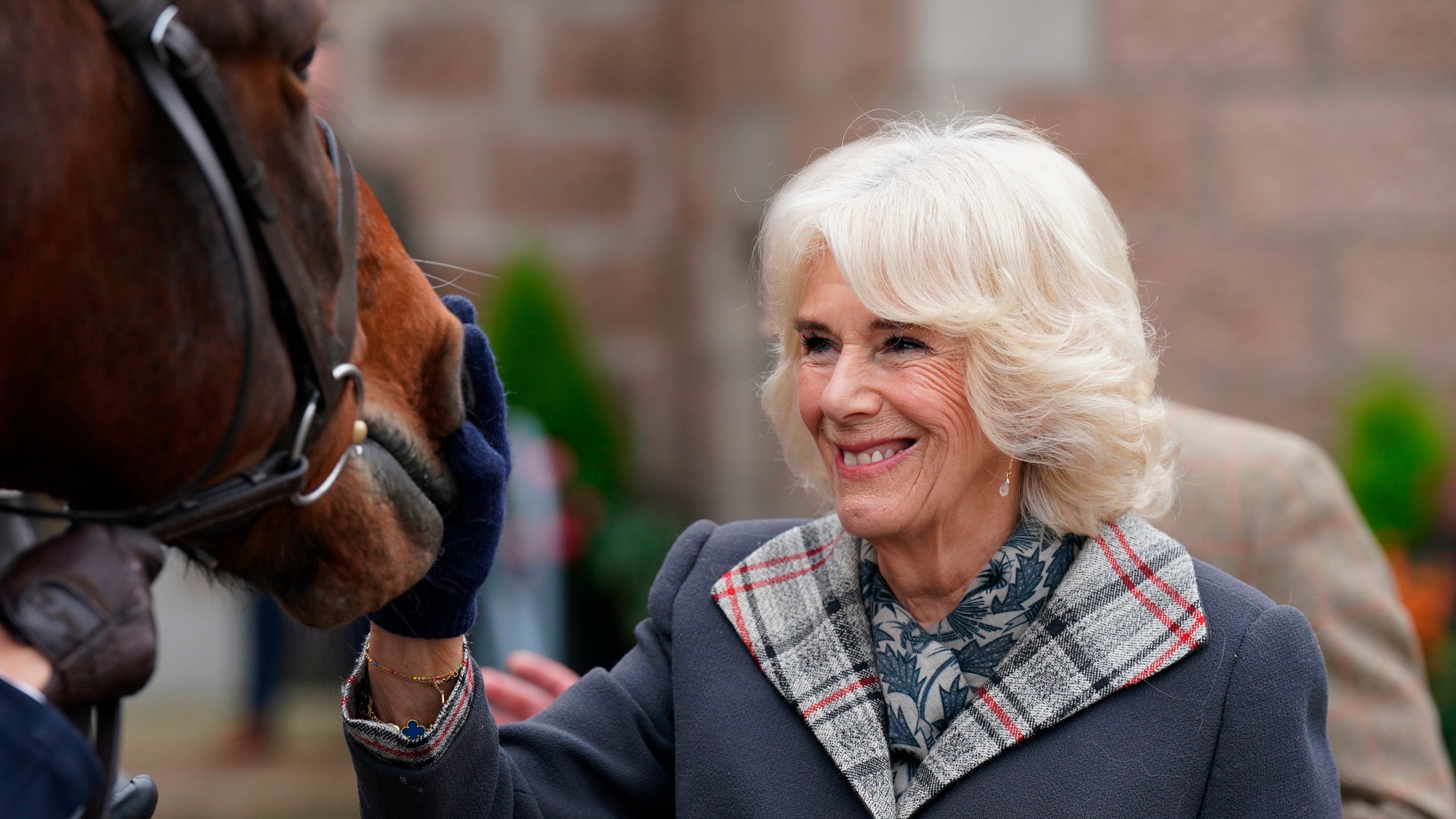 Rivoluzione a corte: Camilla vuole le “compagne della Regina”