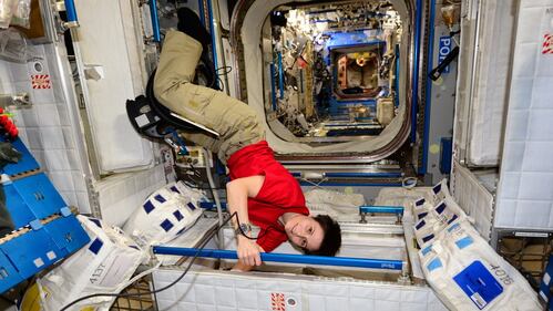 Giorno di pulizie sulla Stazione spaziale 1