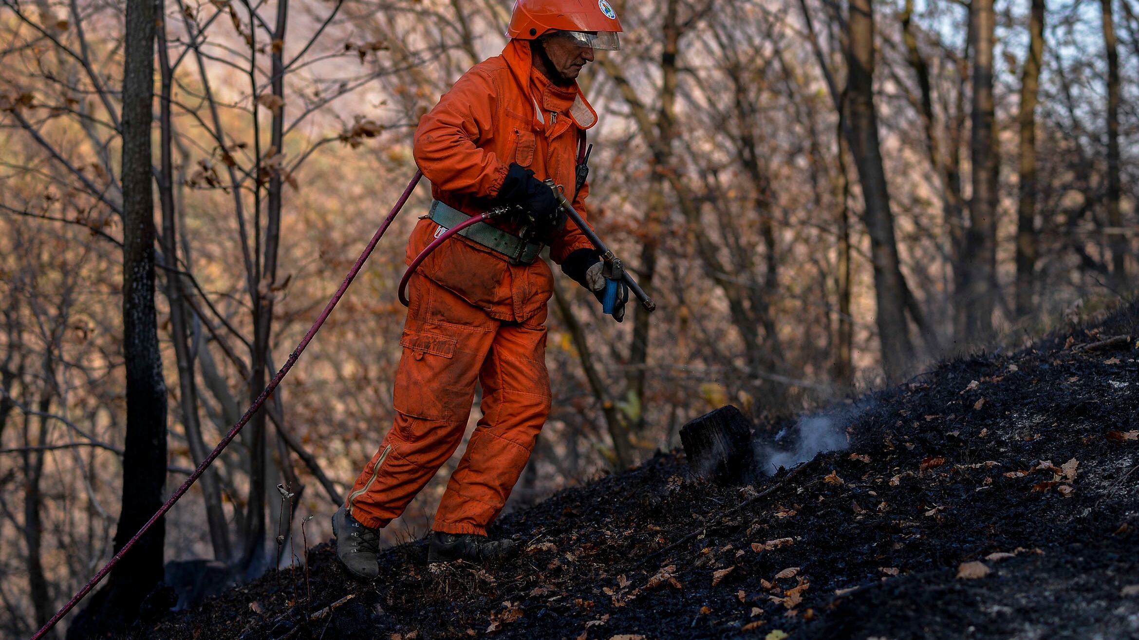 Il Piemonte va a fuoco: decine di sfollati. Evacuati 195 anziani