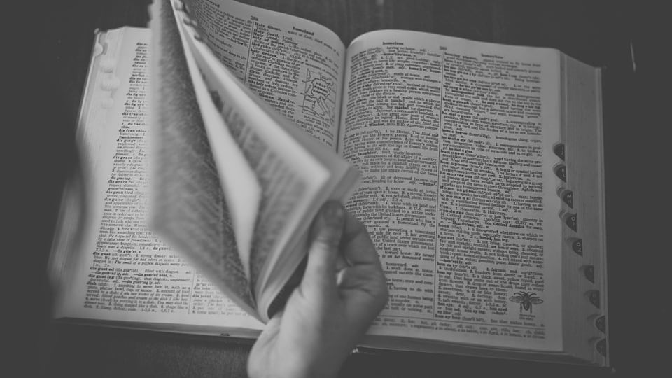Misericordina o liquidismo? Ecco l'italiano dei giornali