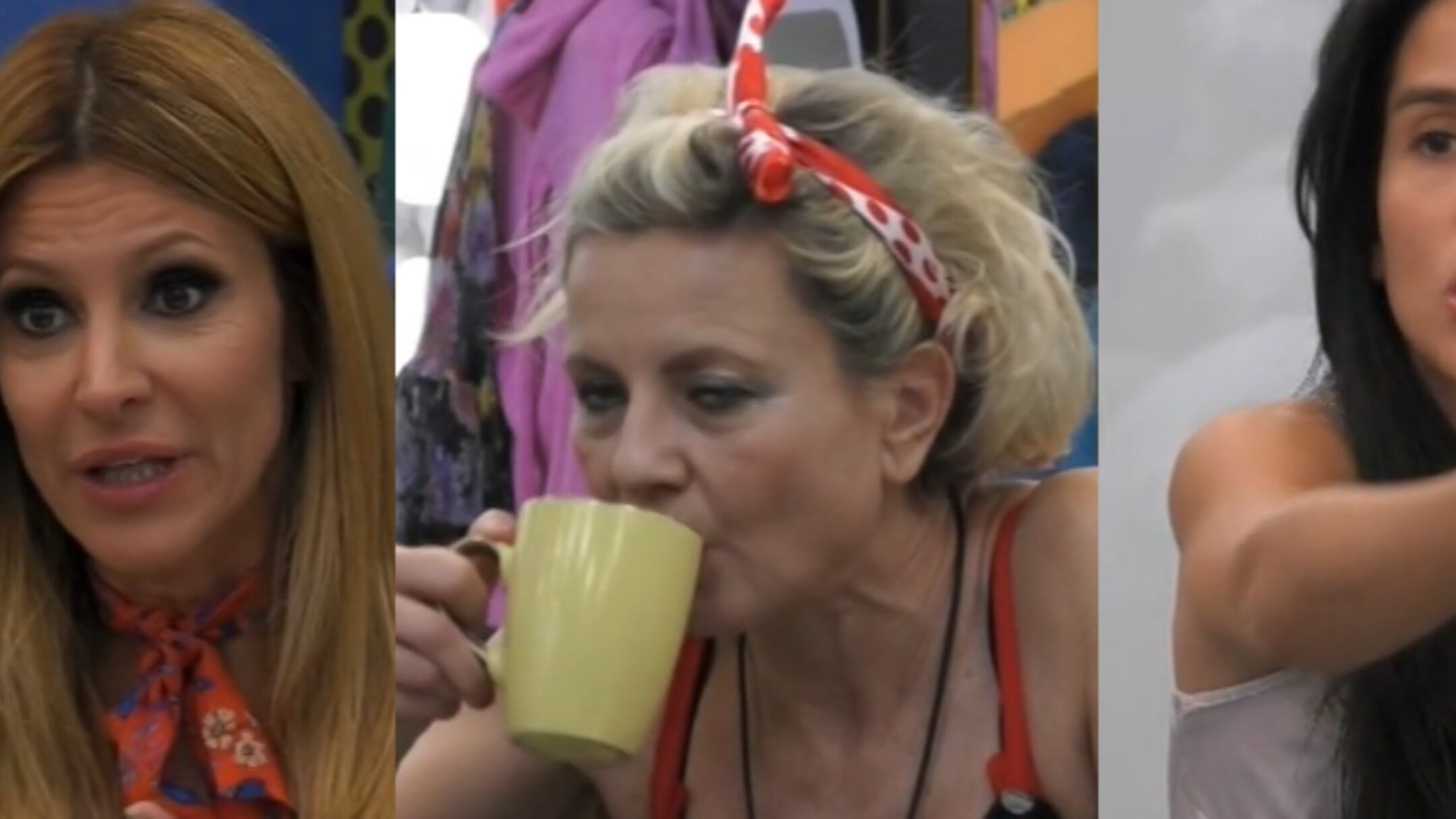 Adriana Volpe furiosa per le uova non ricevute. Antonella Elia: "Lite da gallina!"