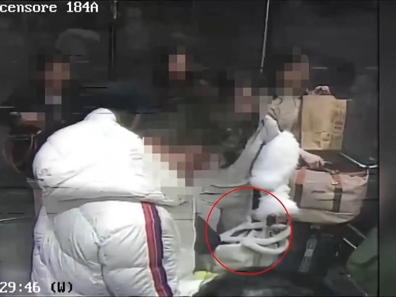 Malpensa, raid da record negli ascensori: 10 borseggiatrici incastrate dopo cento colpi lampo