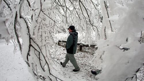 Germania, la neve sul Großer Feldberg 6