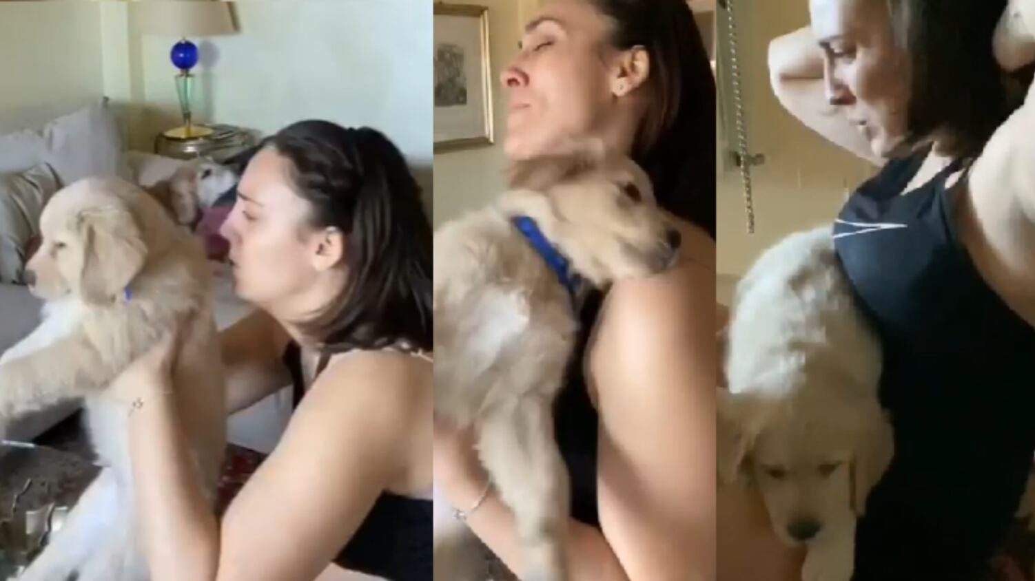 Francesca Manzini a chi l'accusa di maltrattare il cane: "Prenditela con chi li abbandona"