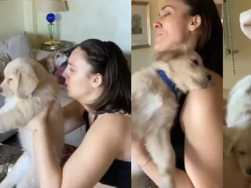 Francesca Manzini a chi l'accusa di maltrattare il cane: "Prenditela con chi li abbandona"