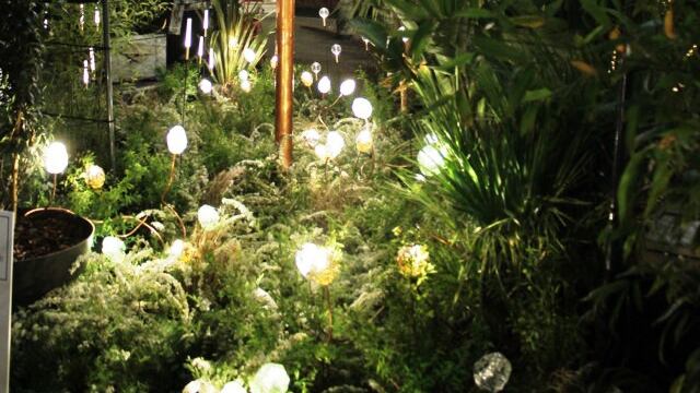 Design outdoor, in San Marco germoglia l'eden urbano