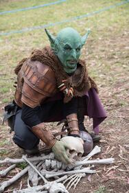 Alla Mostra d'Oltremare i cosplayer del Comicons 5