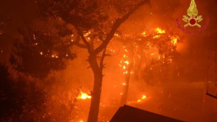 Fiamme, fumo e paura: un rogo nel Palermitano, evacuate 400 persone