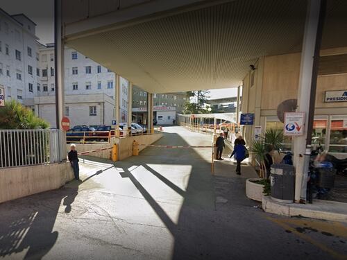 Terrore in spiaggia nel foggiano: due fidanzati aggrediti da un lupo