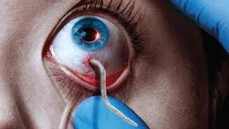 I vampiri tornano a terrorizzare il mondo