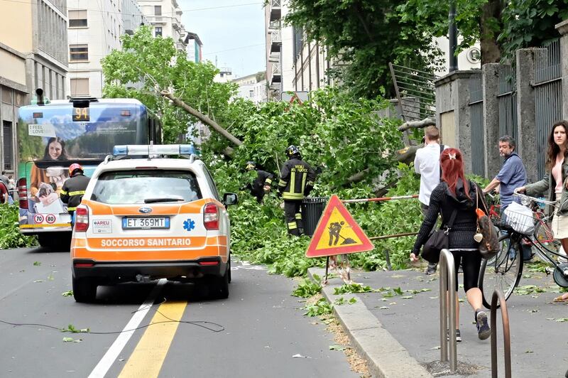 Milano, albero cade sull'autobus 3