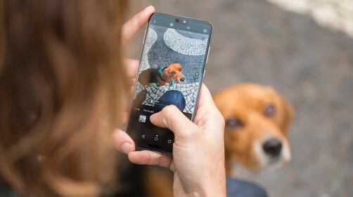 Huawei presenta P20 e P2' Prp 7