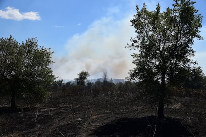 Roma, bruciati più di 50 ettari: evacuati struttura per anziani e convento 9