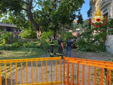 Albero cade davanti alla chiesa di San Pietro a Luino: 8 feriti, di cui 2 gravi 10