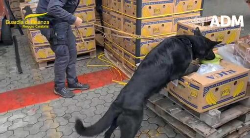 3 tonnellate di cocaina al porto di Gioia Tauro, ecco il maxi-sequestro 10
