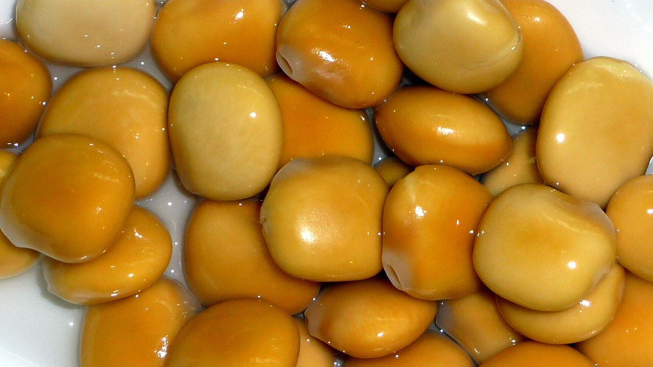 Aiutano l'intestino, regolano glucosio e colesterolo "cattivo": tutti i benefici dei lupini, ma occhio a non esagerare