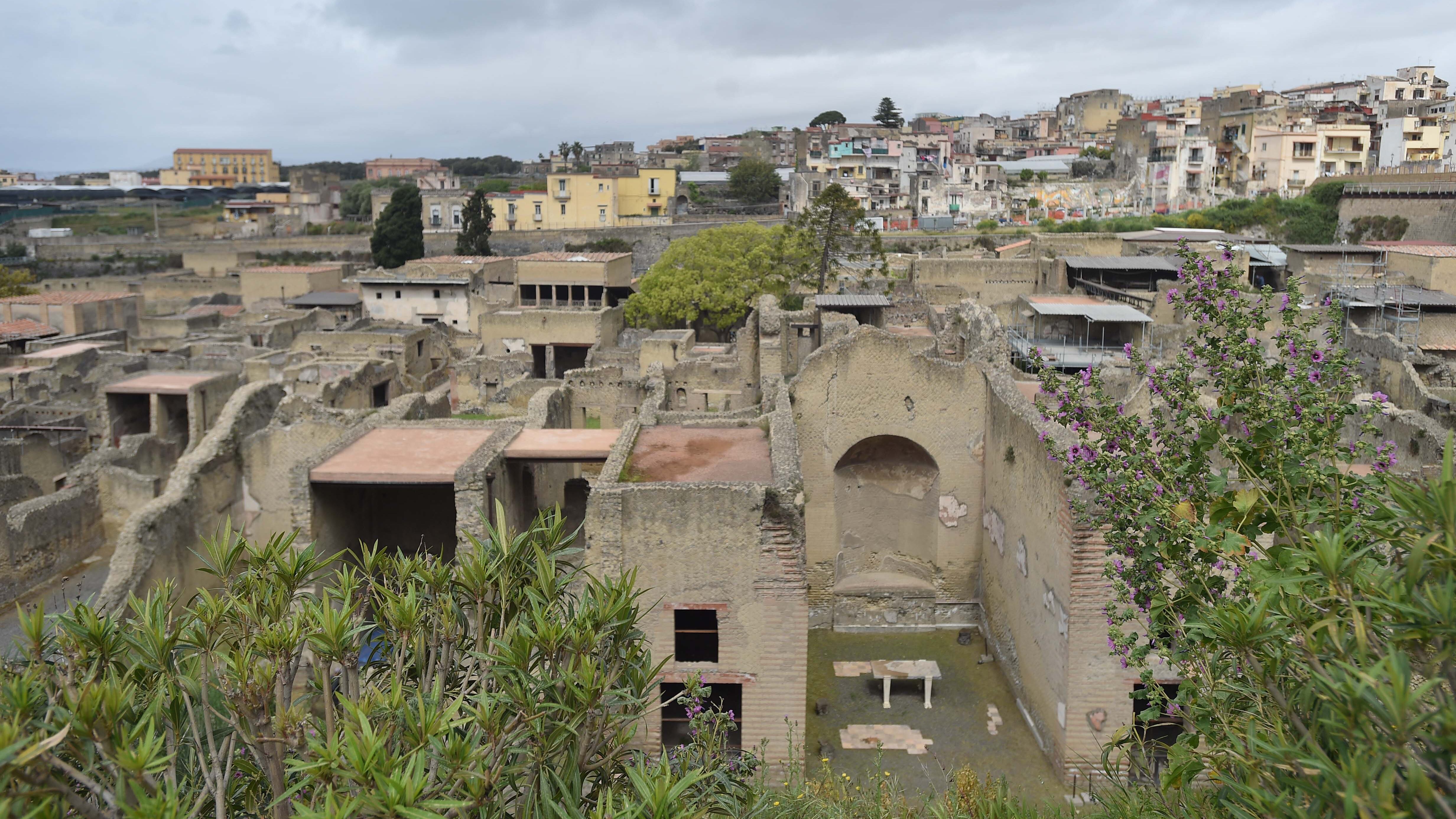 Eruzione di Ercolano, l'incredibile scoperta riemersa dai papiri bruciati