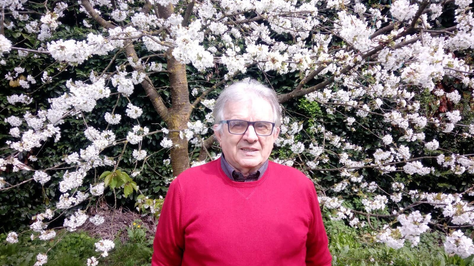 "A tutti i miei studenti faccio amare i numeri con l'aiuto della Bellucci"