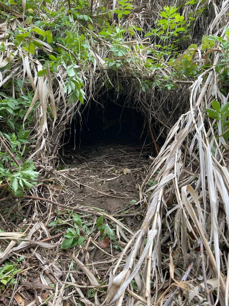 Il bosco dove sono stati trovati i resti di Federica (Photo Credits Fabrizio Pace)