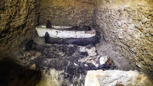 In Egitto: nuove mummie nella necropoli di Tuna el-Gebel 1