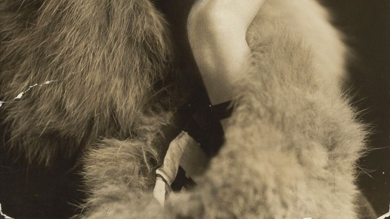 "La mia ancora di scrittura". Così Virginia Wolf divenne un faro per tutte le donne