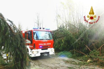 Emergenza meteo: la strage dei boschi in tutta Italia 5