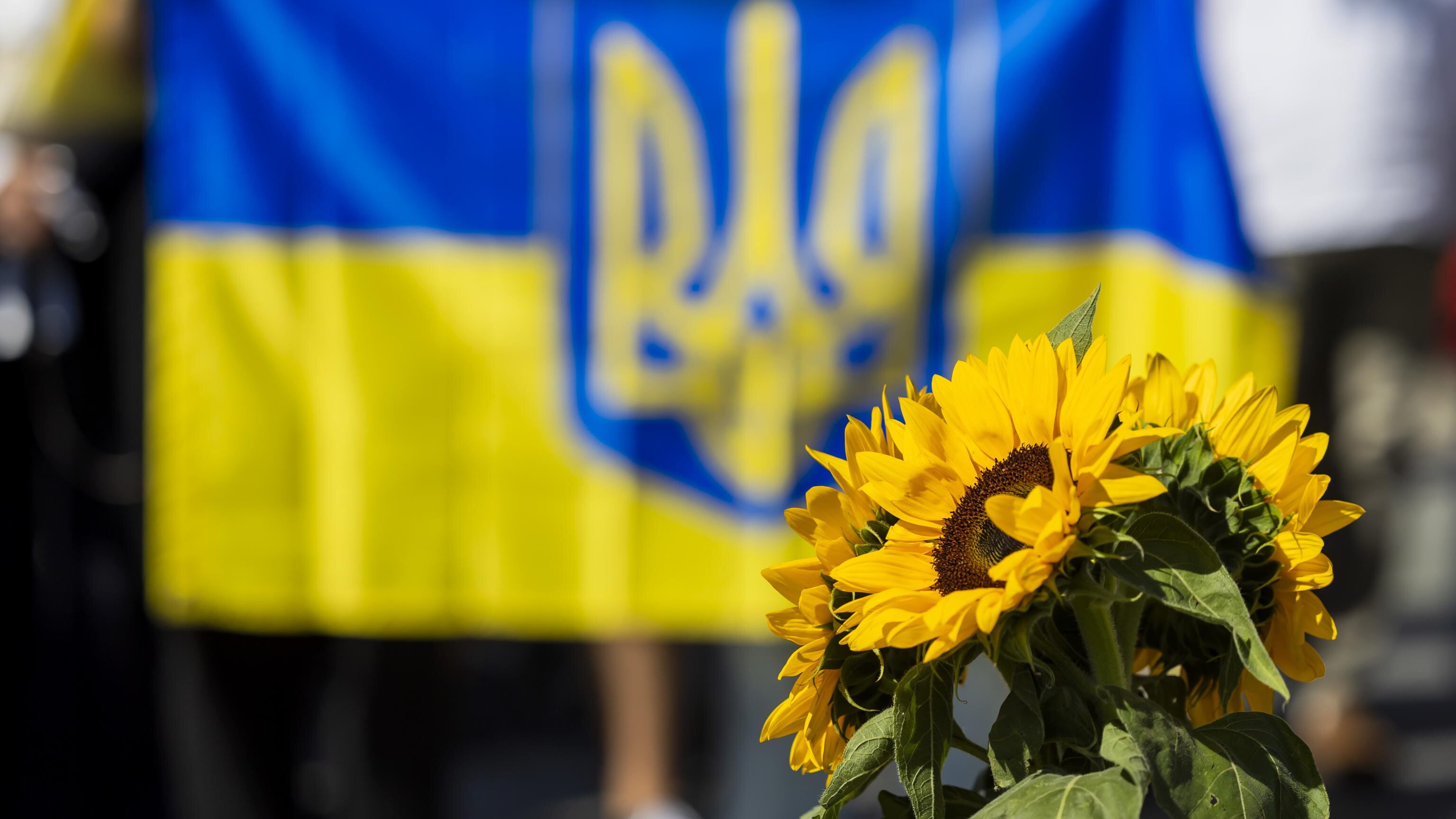 Lavrov: "Vertice con Putin dopo colloqui di Istanbul". E Tajani ribadisce il "no" a truppe italiane a Kiev