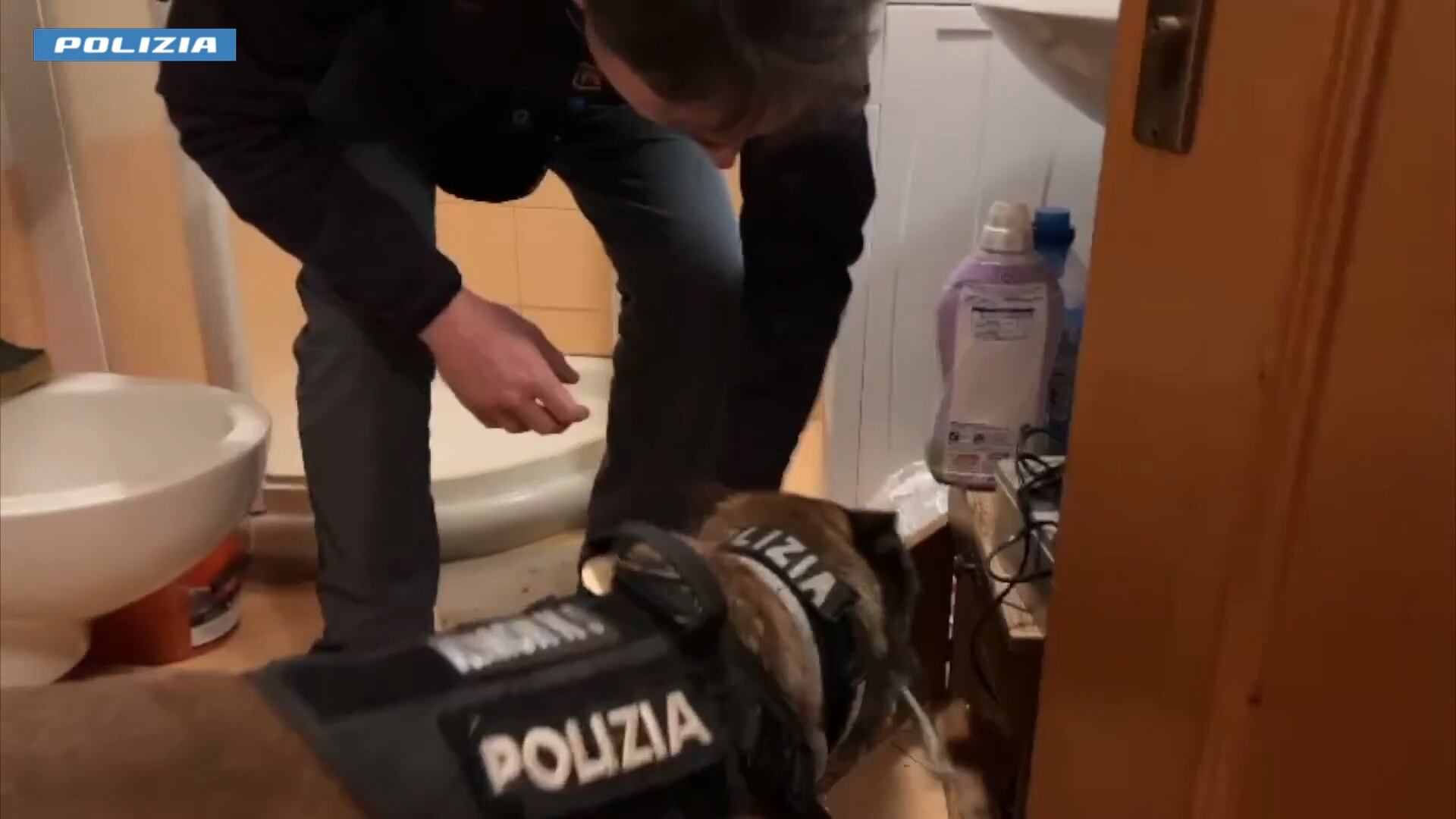 Così la mafia albanese in Italia inondava di cocaina le piste da sci con donne e neonati