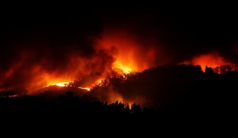 Incendio in Portogallo: 58 morti 12