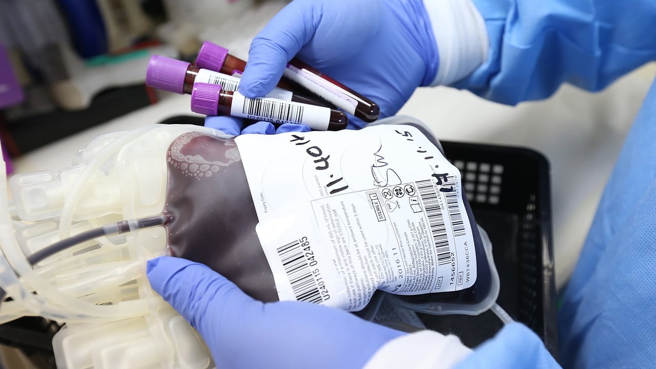 L'esperto smonta la bufala dei genitori No vax