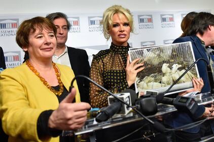 Pamela Anderson contro il foie gras 5