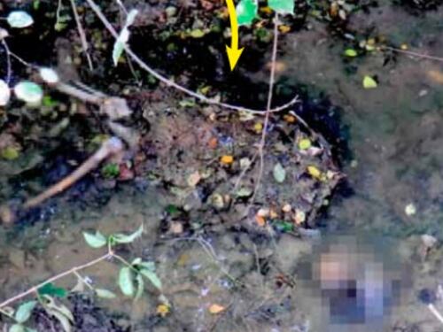 Il caso Elena Ceste, due anni di misteri