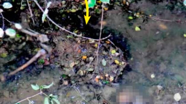Il caso Elena Ceste, due anni di misteri