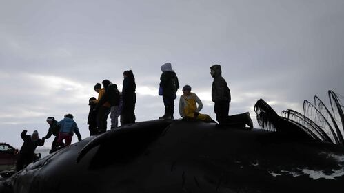 La caccia alla balena in Alaska 6