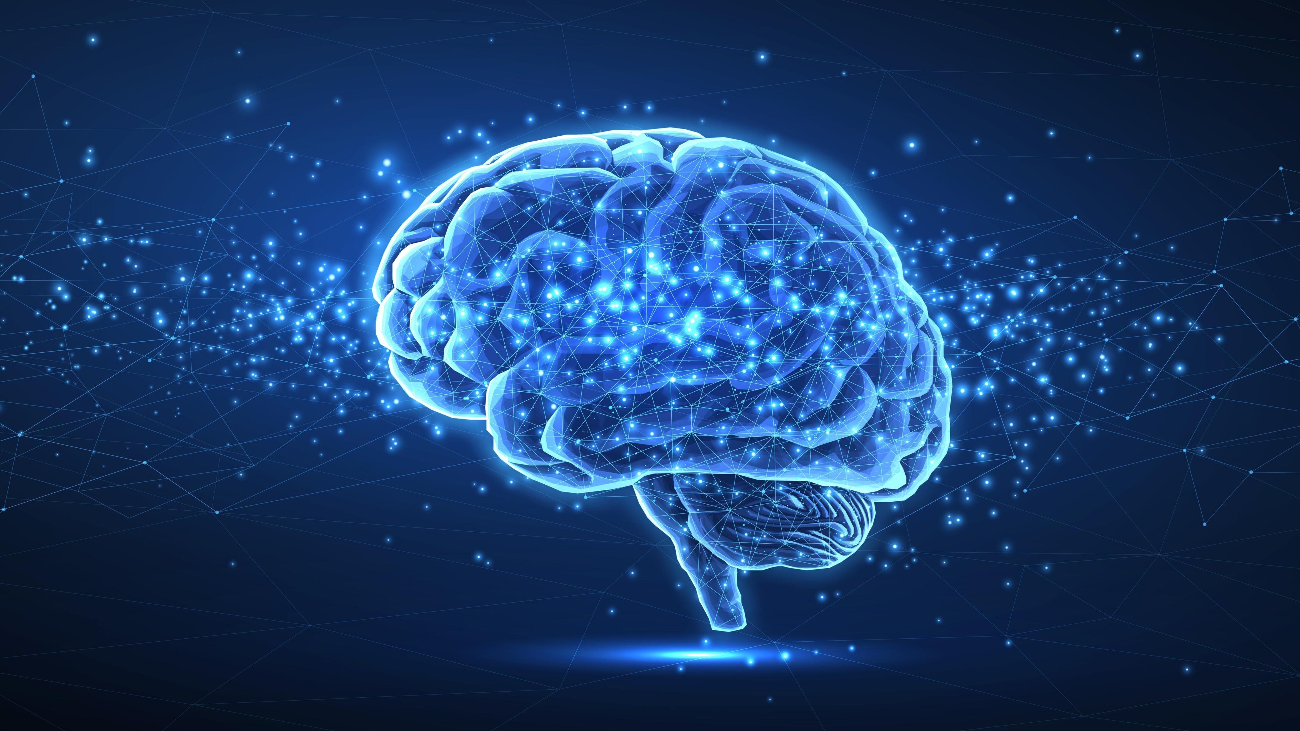 Il cervello "molle" aiuta a nascondere la cruda verità del diventare vecchi