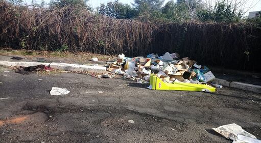 Roma, il degrado del parco naturale del Pineto 3