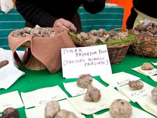 Emilia Romagna: weekend al sapore di tartufo