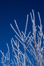 Valle d'Aosta, le immagini mozzafiato dell'inverno in montagna 1