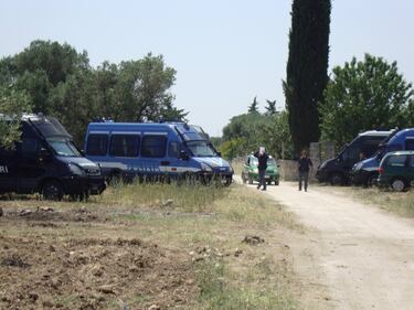 Ulivi abbattuti, il blitz a Oria 7