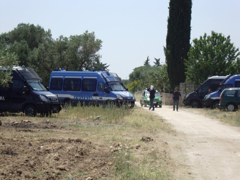 Ulivi abbattuti, il blitz a Oria 7