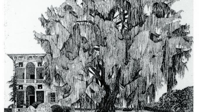 Sono interattivi i teleri di Federica Galli, la "Signora degli alberi"