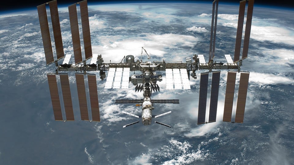 L'allarme della Nasa: "Insetti spaziali erodono il rivestimento della Iss"