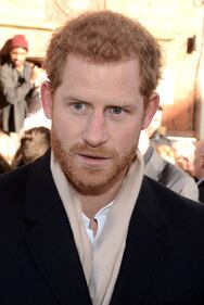 Meghan Markle: immagini 7