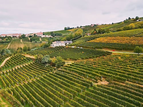 Dosio, le Langhe viste dall’alto