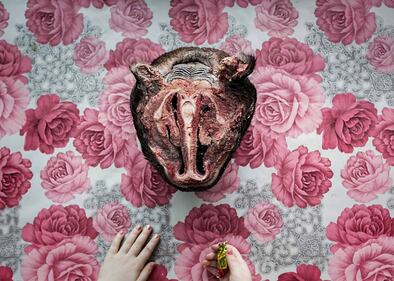 Tutti gli scatti premiati al World Press Photo 2017 20