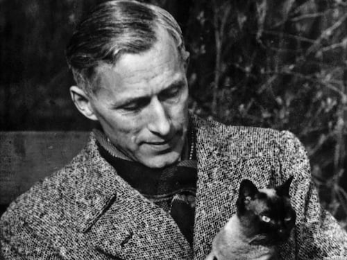 Meglio il cane o il gatto? Hanno un fascino completamente diverso