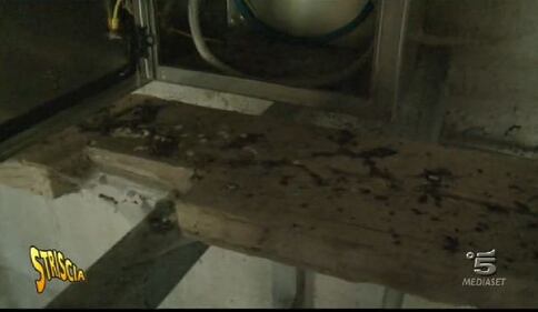 Un mattatoio abusivo in un pilone della Palermo-Messina 2