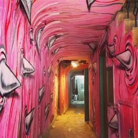 Str. Art Delhi: quando i graffiti li vuole il comune  9