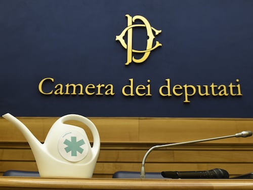 Riecco la priorità dei 5 Stelle: liberalizzare la cannabis